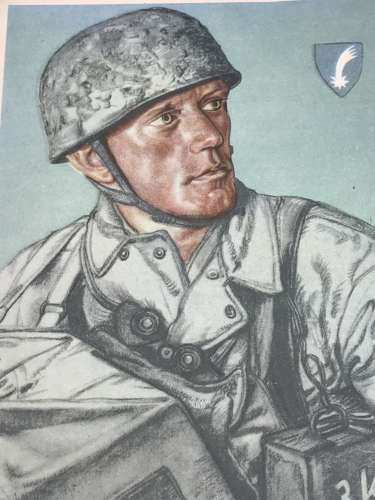 Fallschirmjager combat engineer  Willrich postcard May 1940