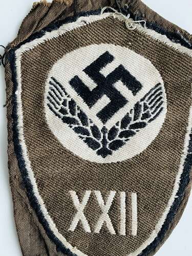 German RADwJ female sleeve insignia