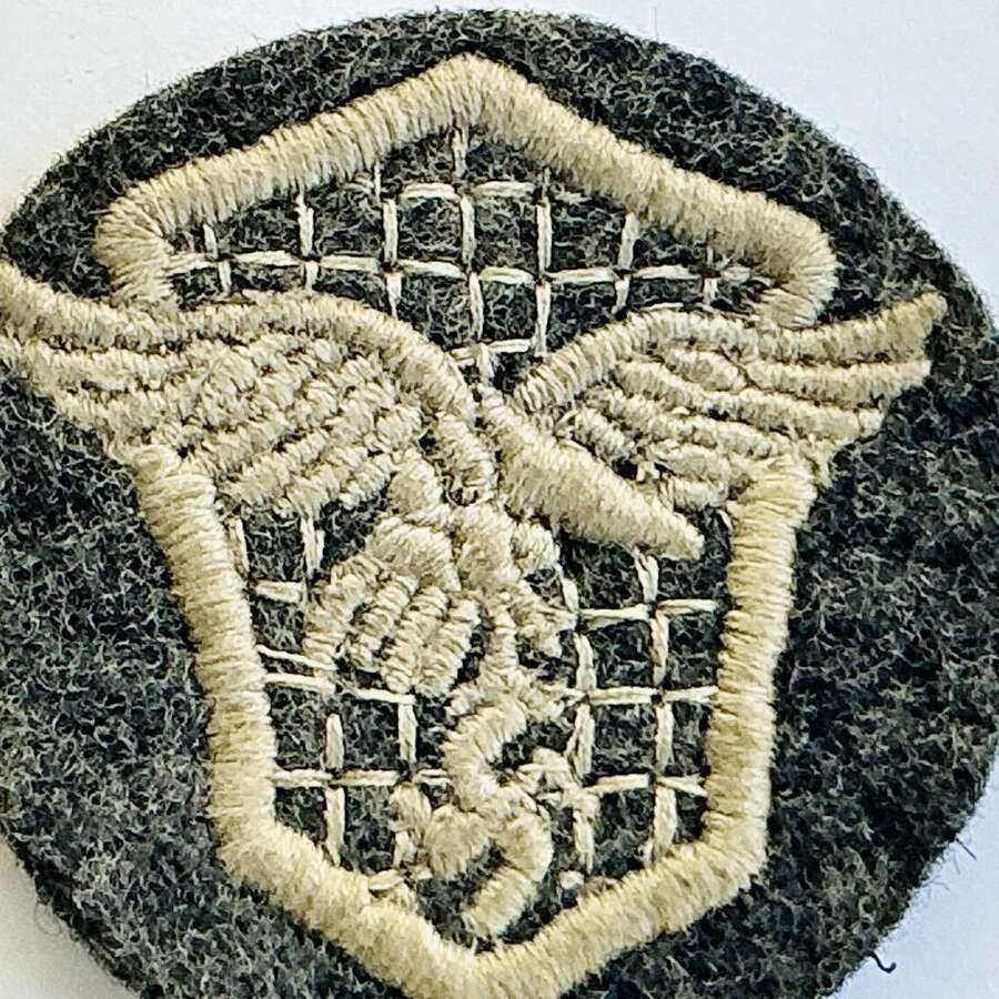 Luftwaffe drivers badge uniform removed